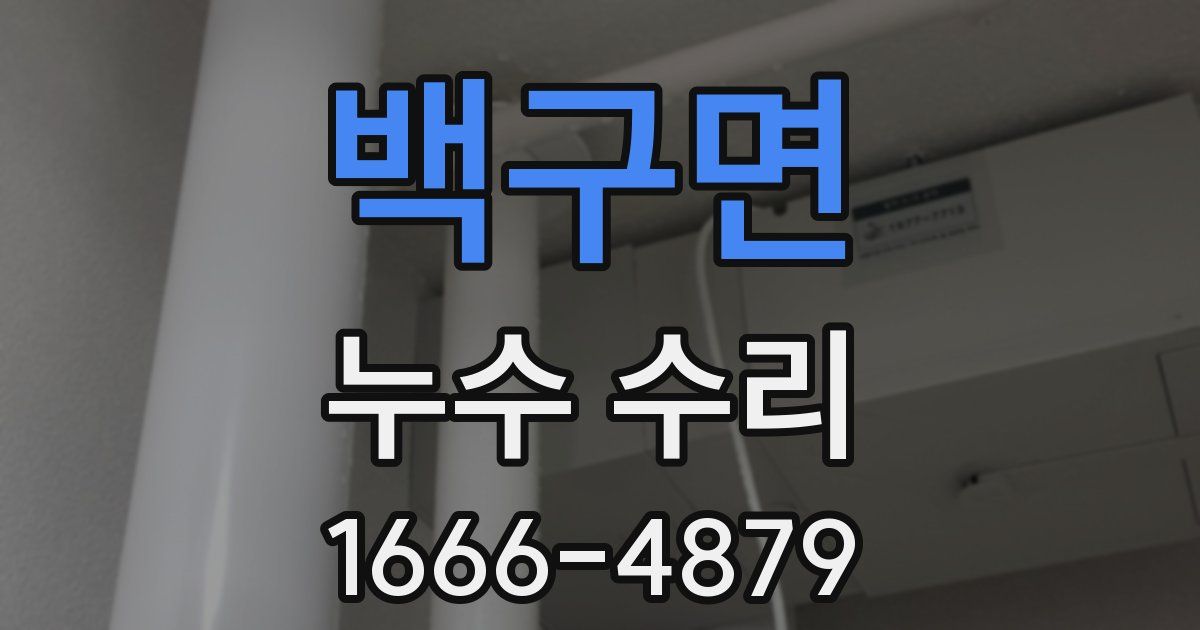 백구면 누수 수리