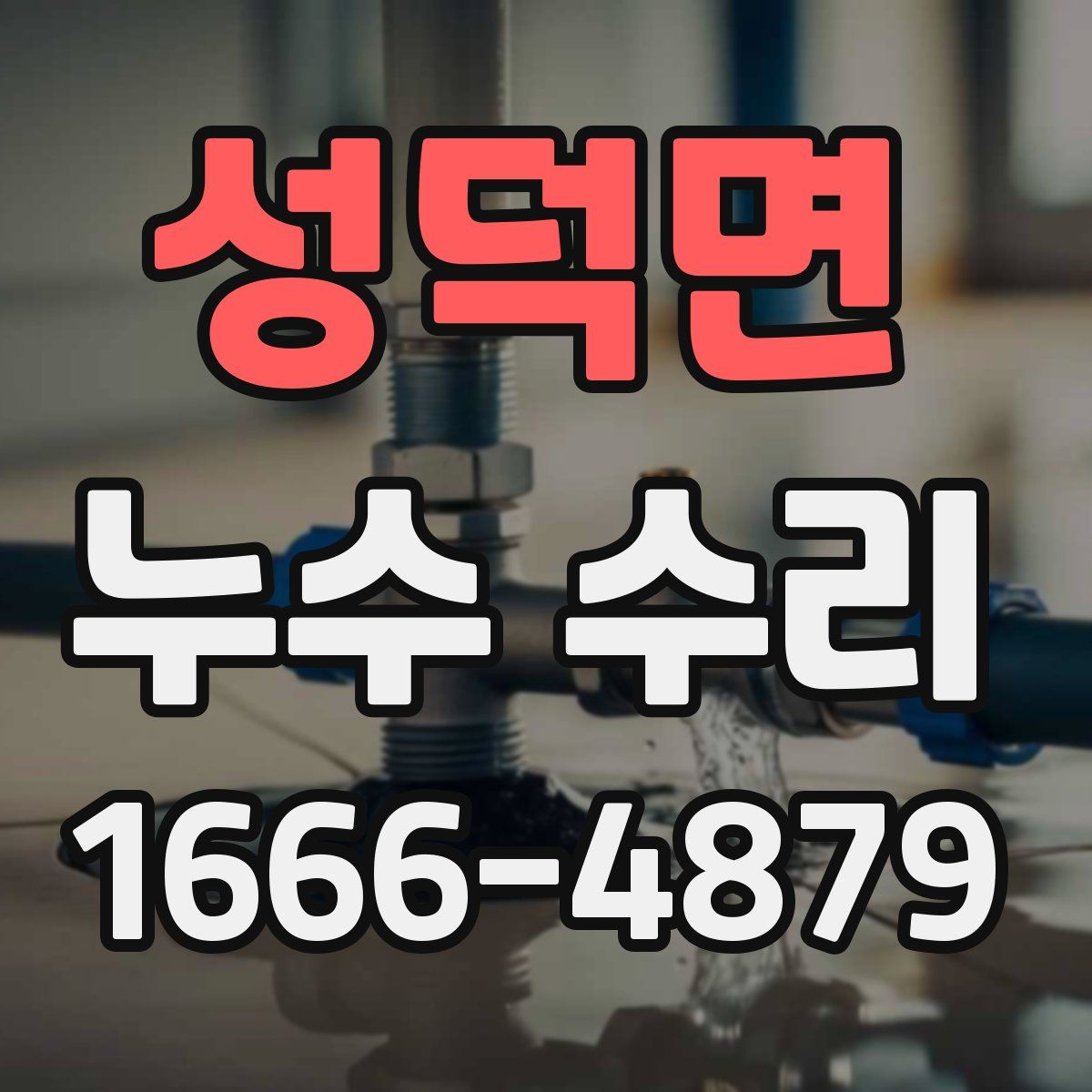 성덕면 누수 수리