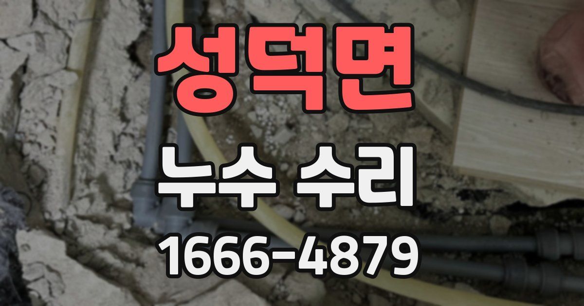 성덕면 누수 수리