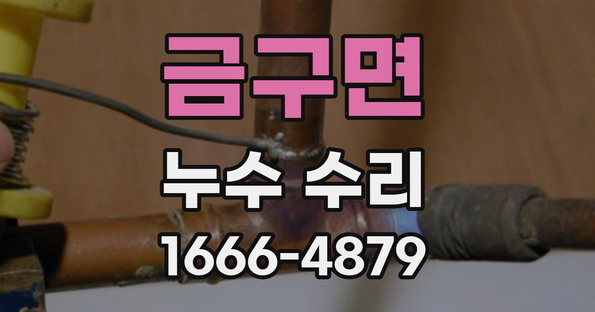금구면 누수 수리
