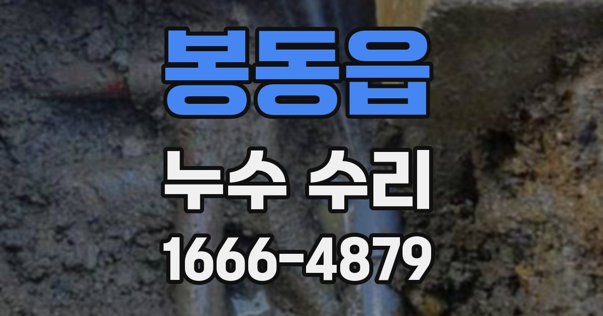 봉동읍 누수 수리