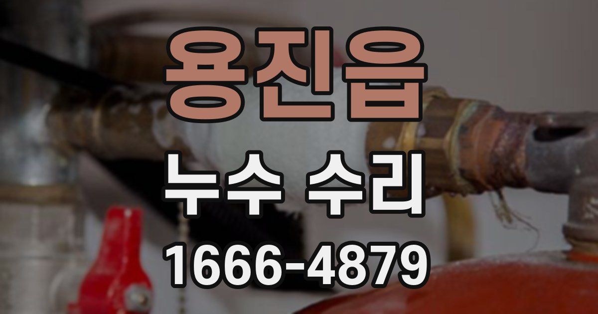 용진읍 누수 수리