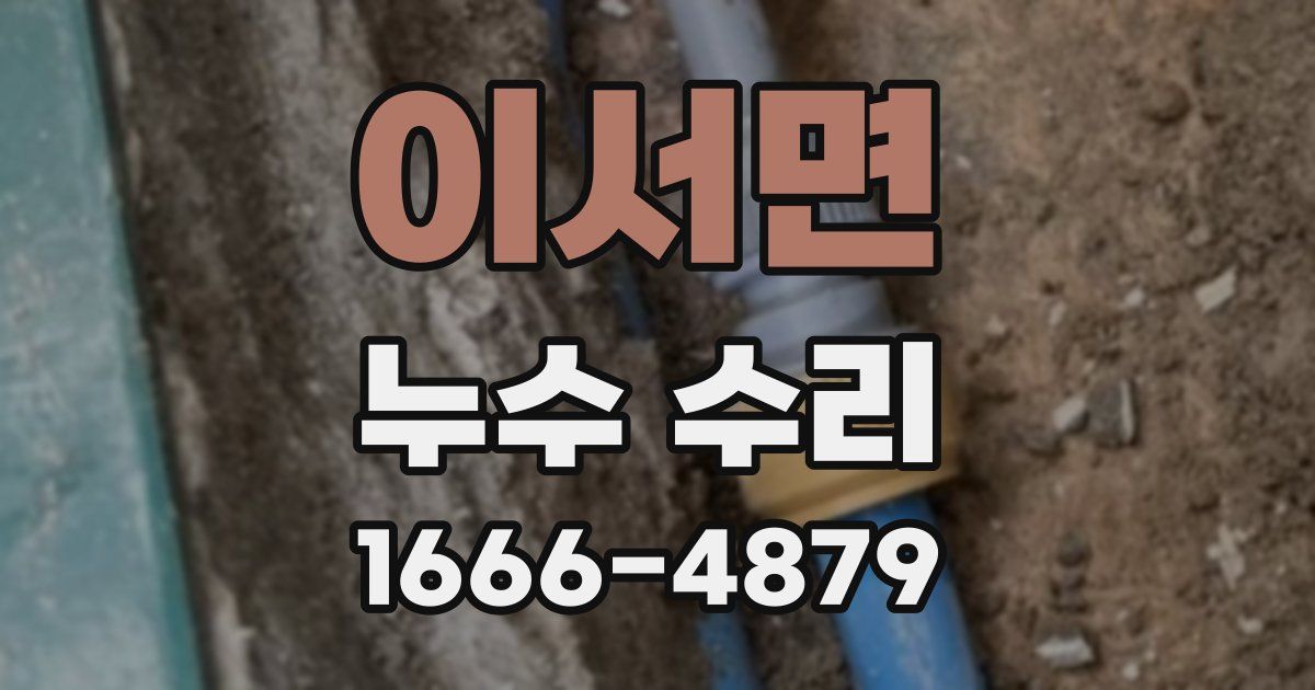 이서면 누수 수리