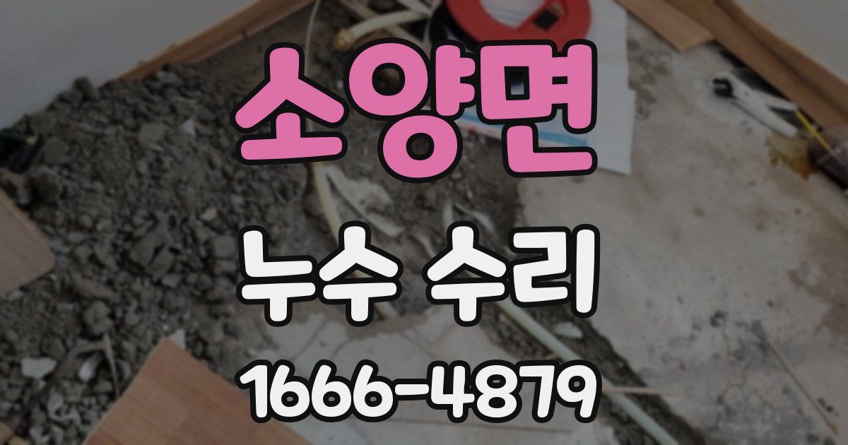 소양면 누수 수리