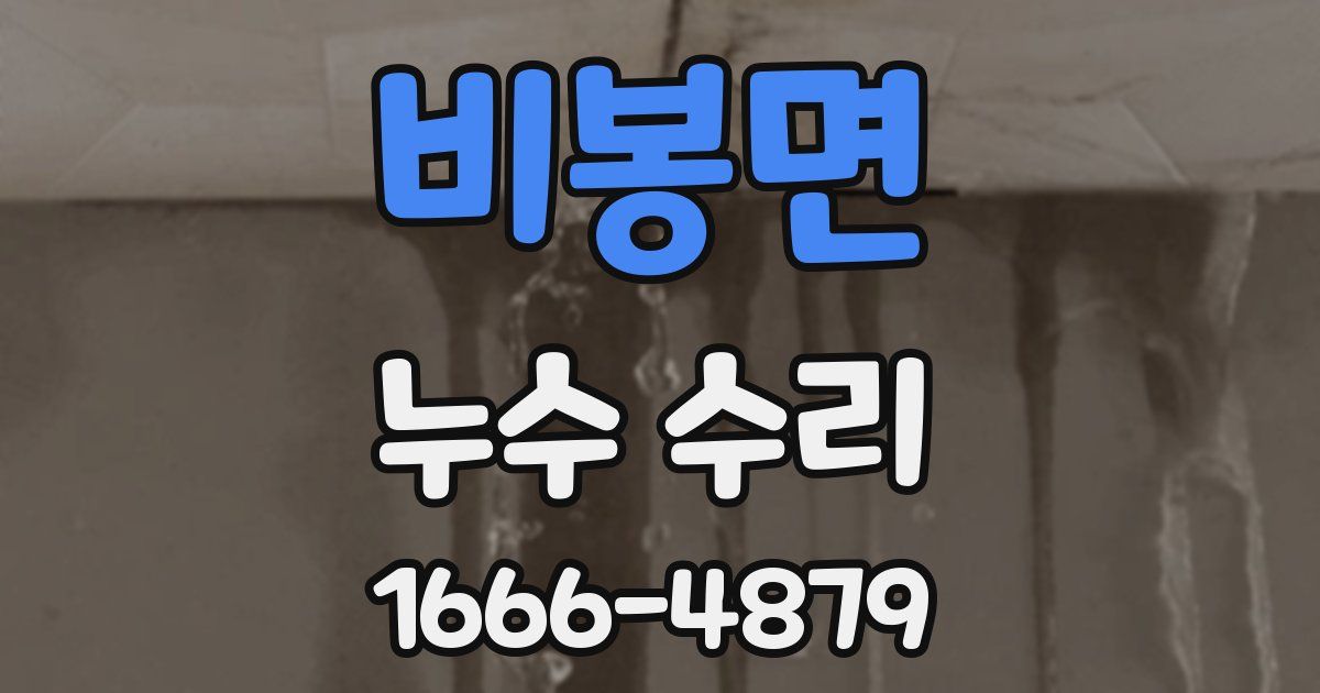 비봉면 누수 수리