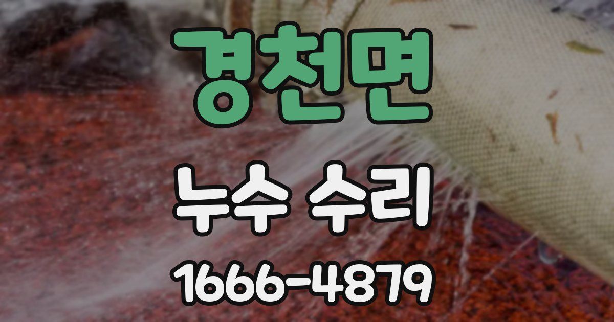 경천면 누수 수리