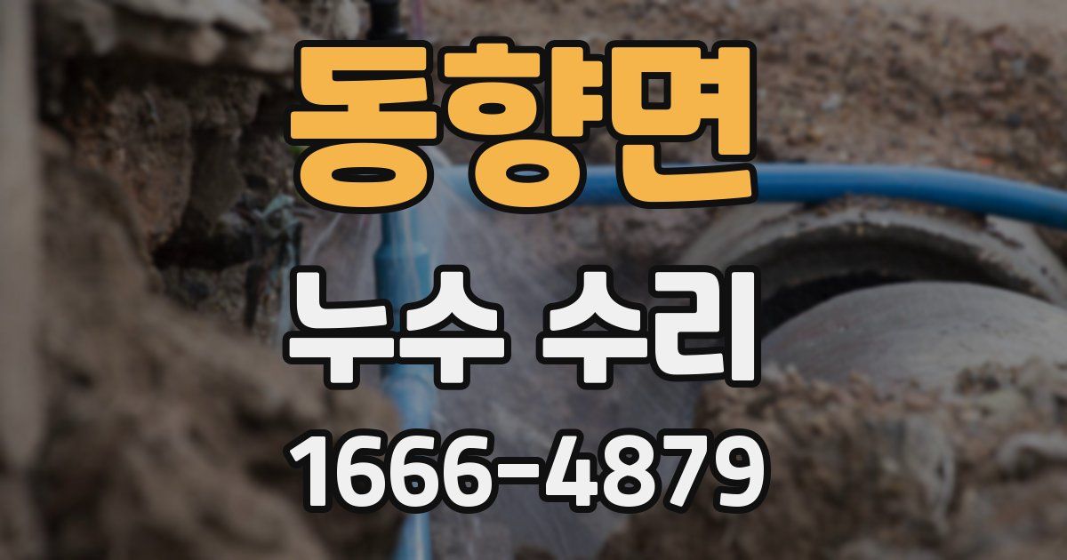 동향면 누수 수리