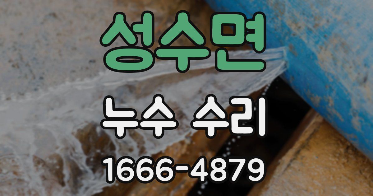 성수면 누수 수리