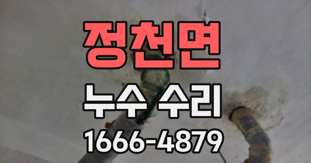 정천면 누수 수리