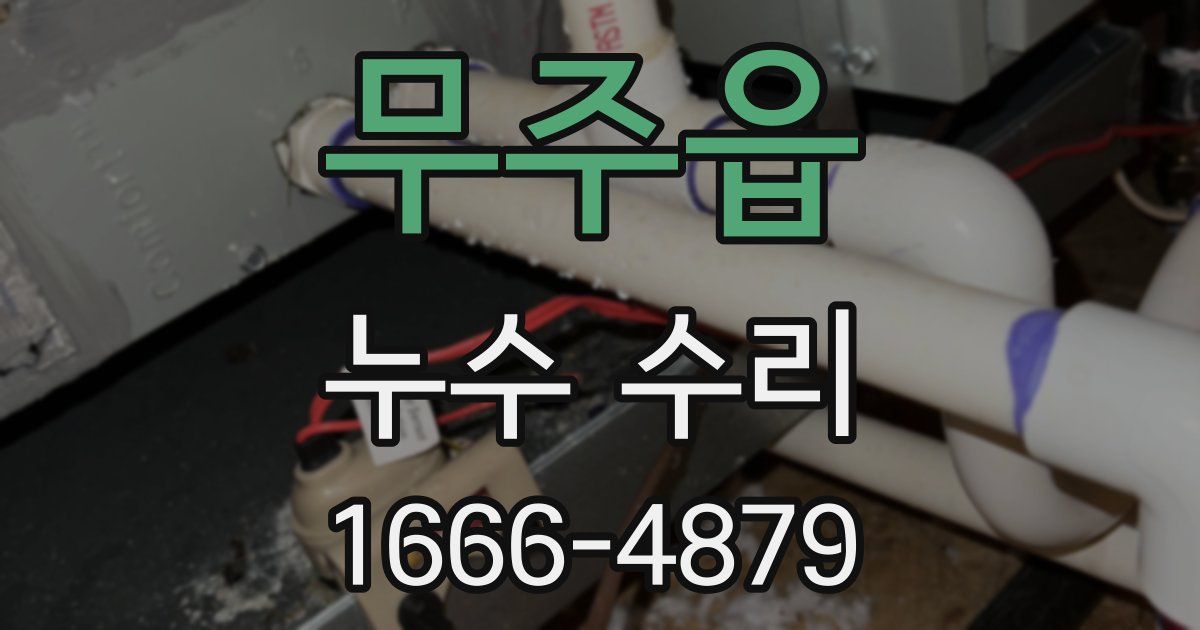 무주읍 누수 수리