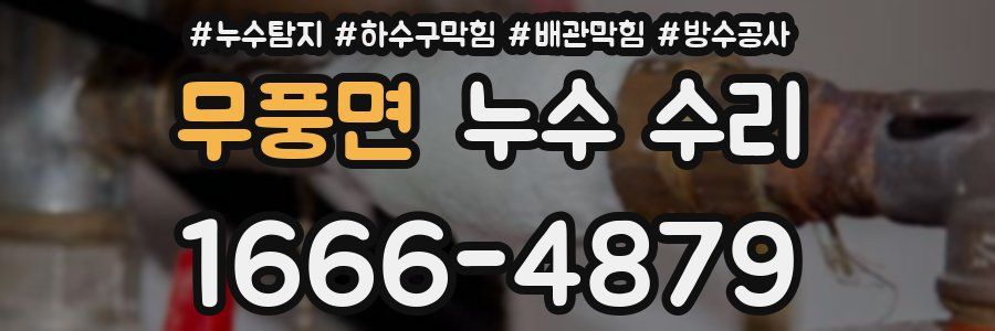 무풍면 누수 수리