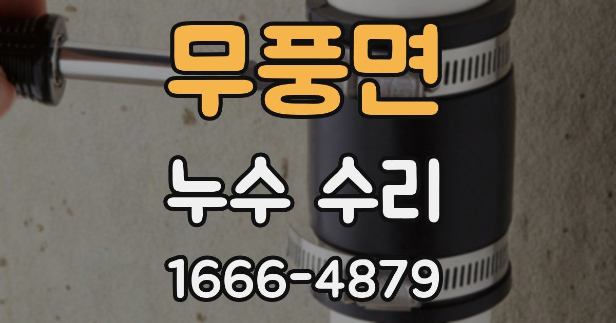 무풍면 누수 수리