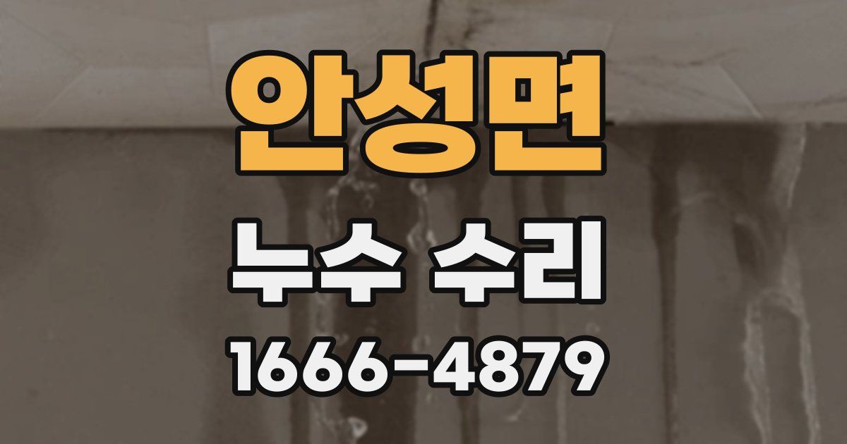 안성면 누수 수리