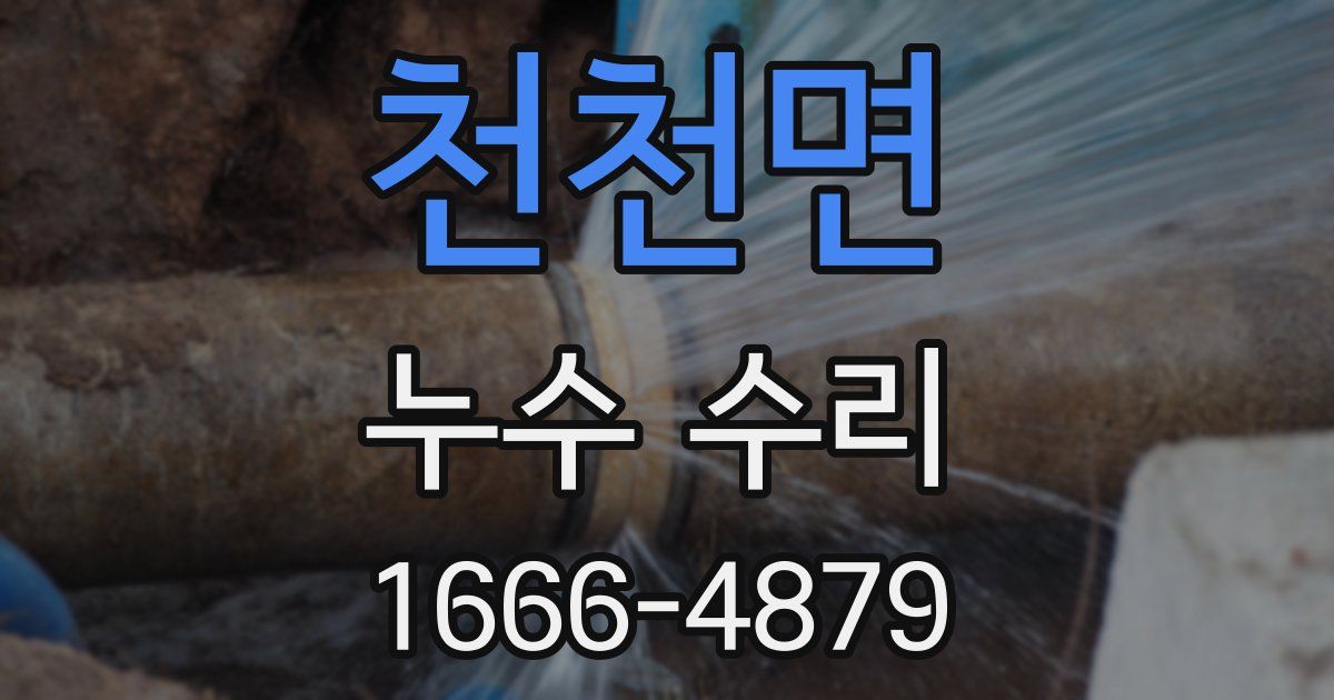 천천면 누수 수리