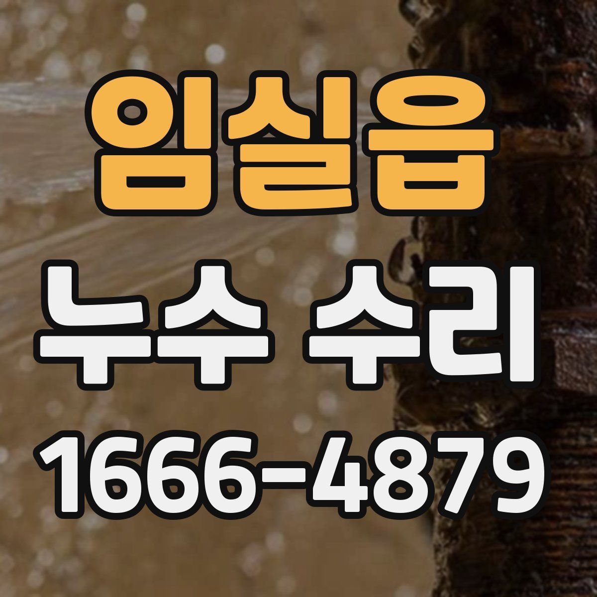 임실읍 누수 수리