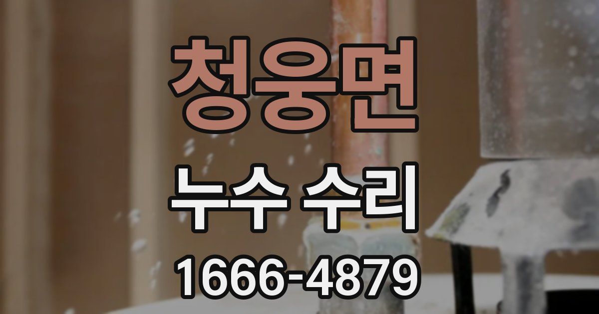 청웅면 누수 수리