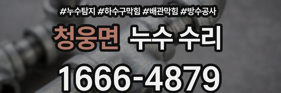 청웅면 누수 수리