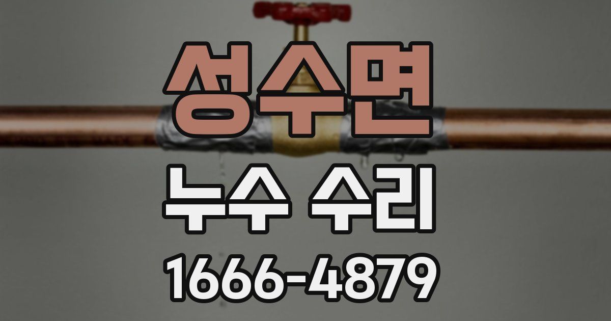 성수면 누수 수리