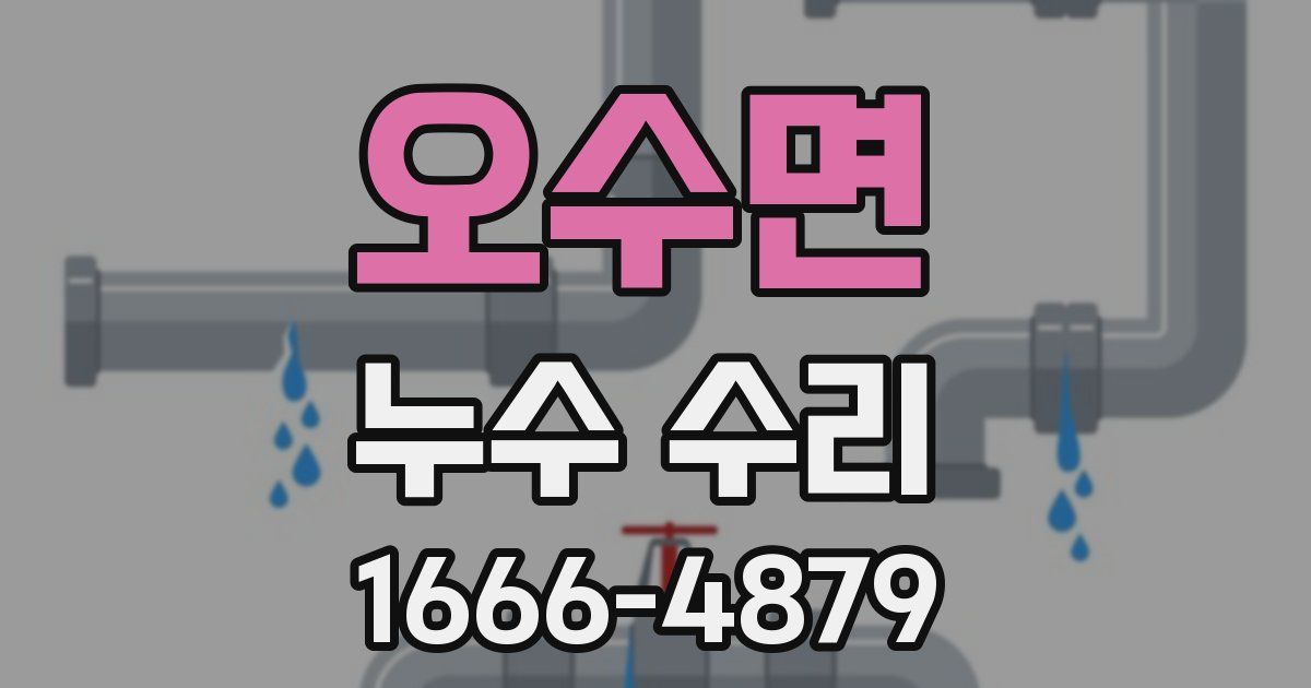 오수면 누수 수리