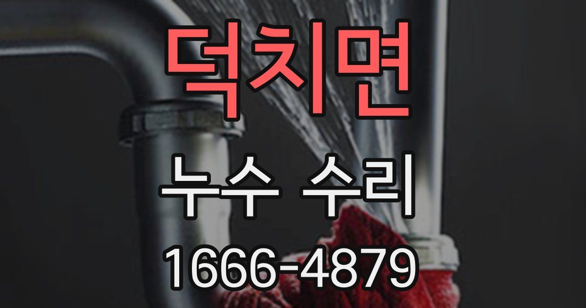 덕치면 누수 수리