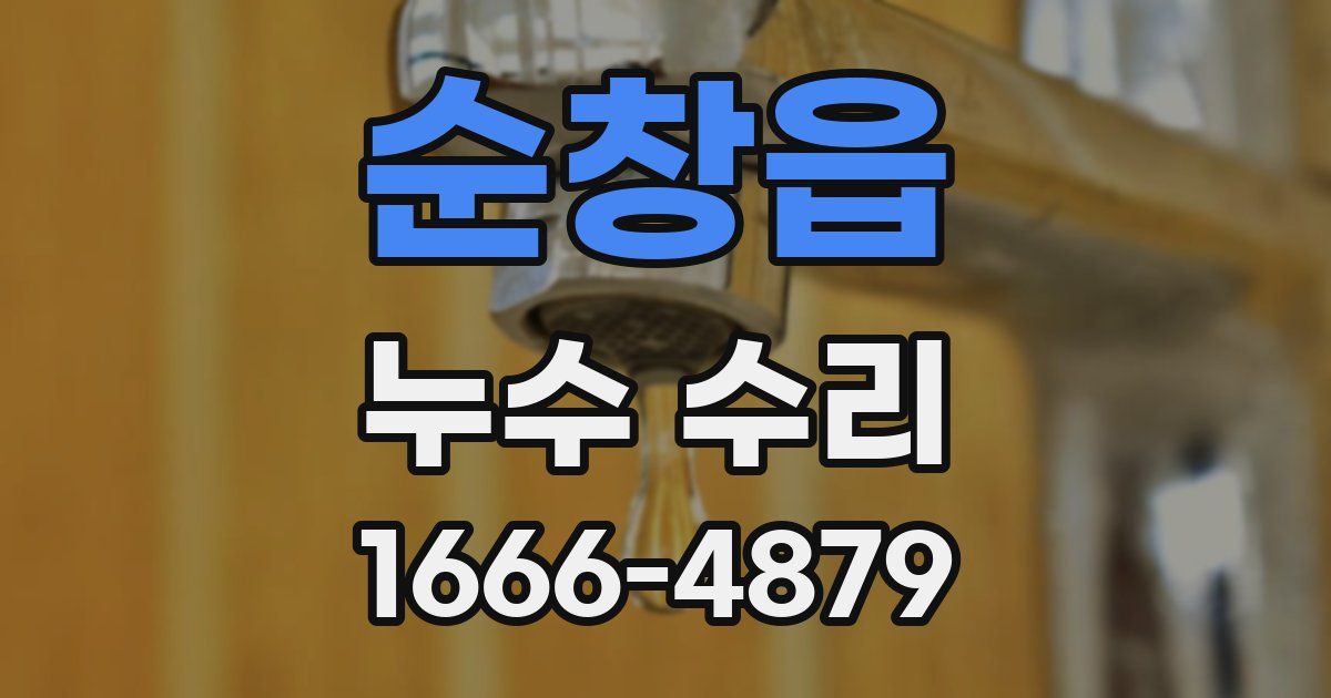 순창읍 누수 수리