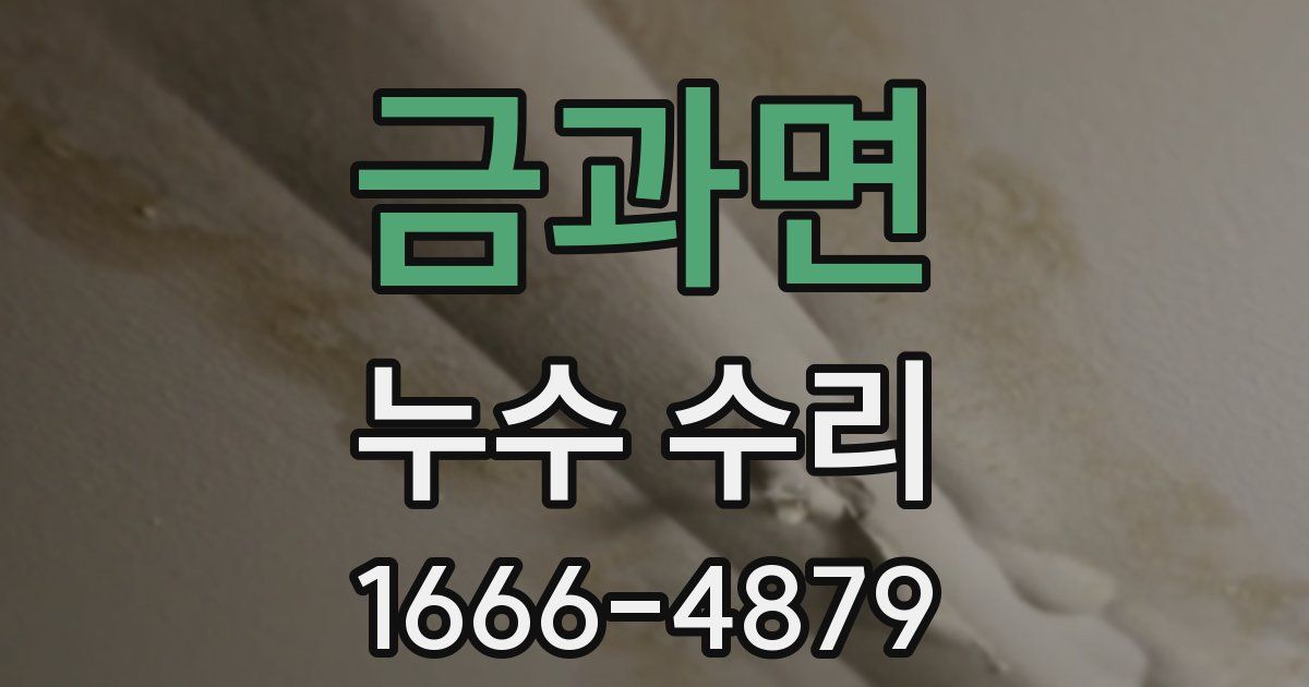 금과면 누수 수리