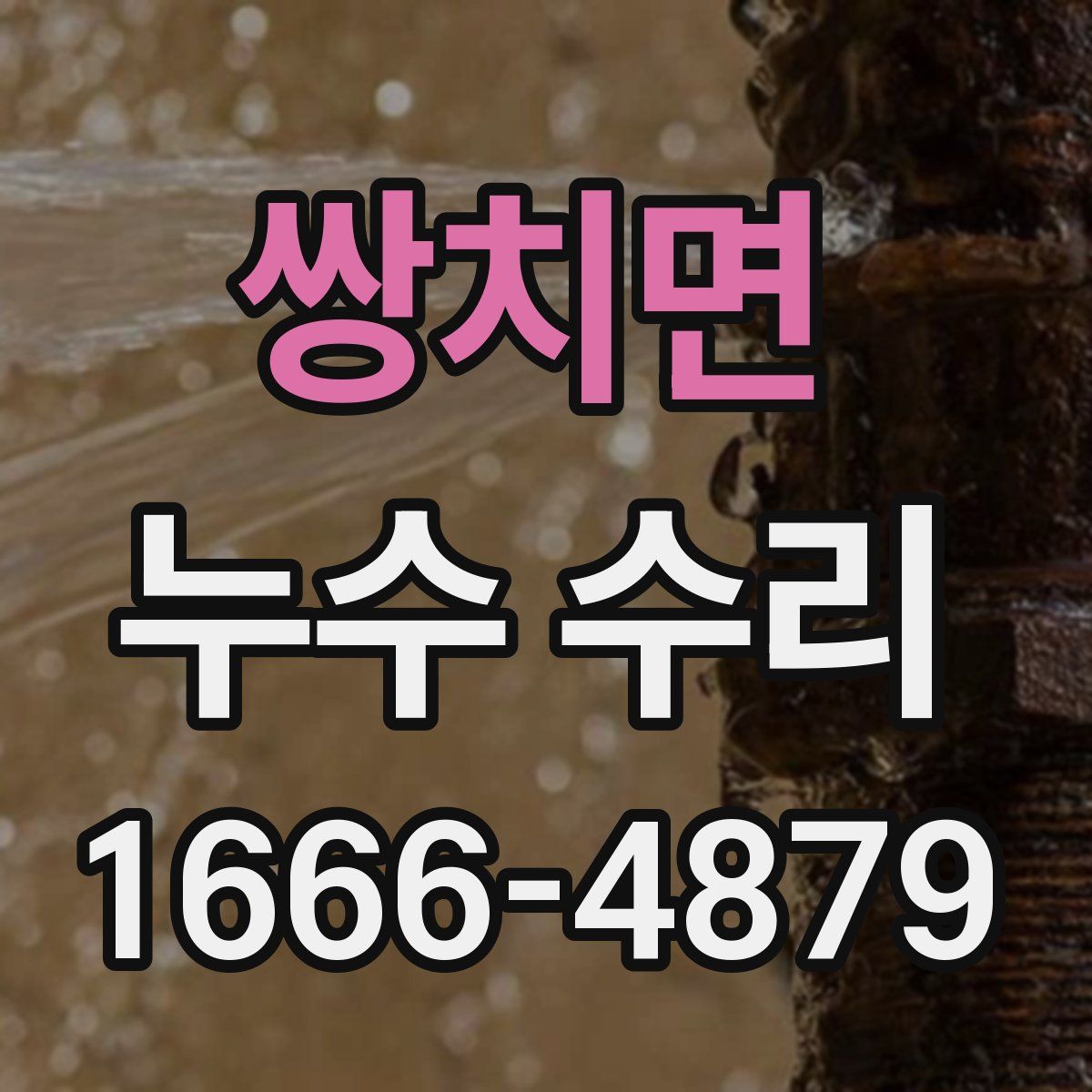 쌍치면 누수 수리
