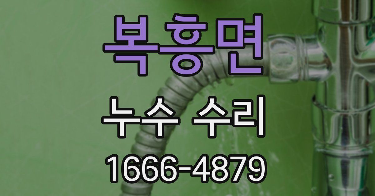 복흥면 누수 수리