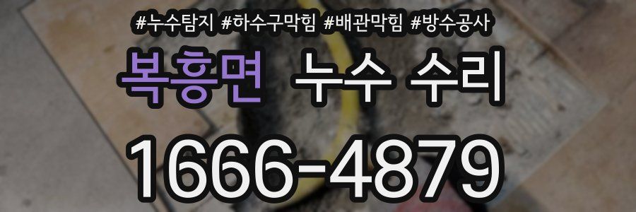 복흥면 누수 수리