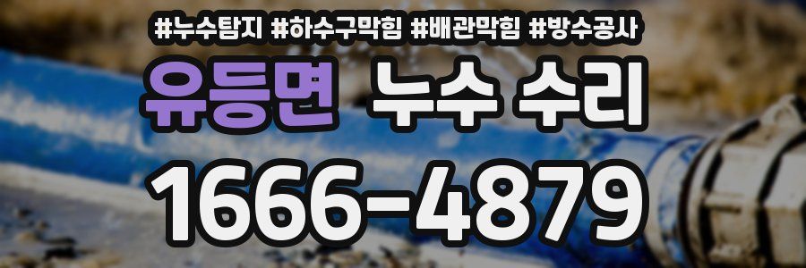 유등면 누수 수리