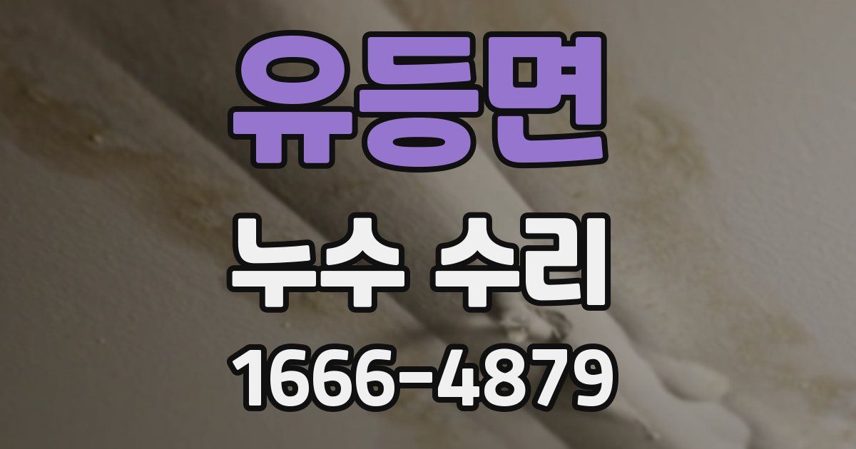 유등면 누수 수리