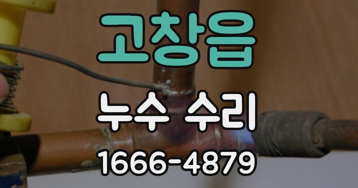 고창읍 누수 수리