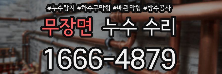 무장면 누수 수리