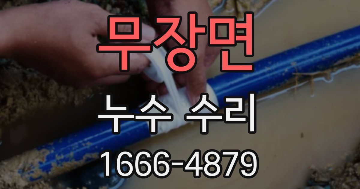 무장면 누수 수리