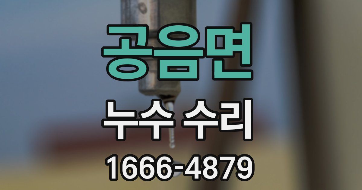 공음면 누수 수리
