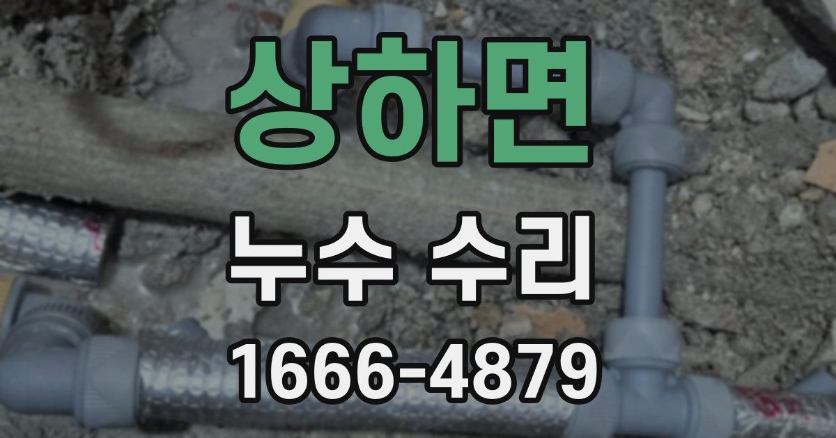 상하면 누수 수리