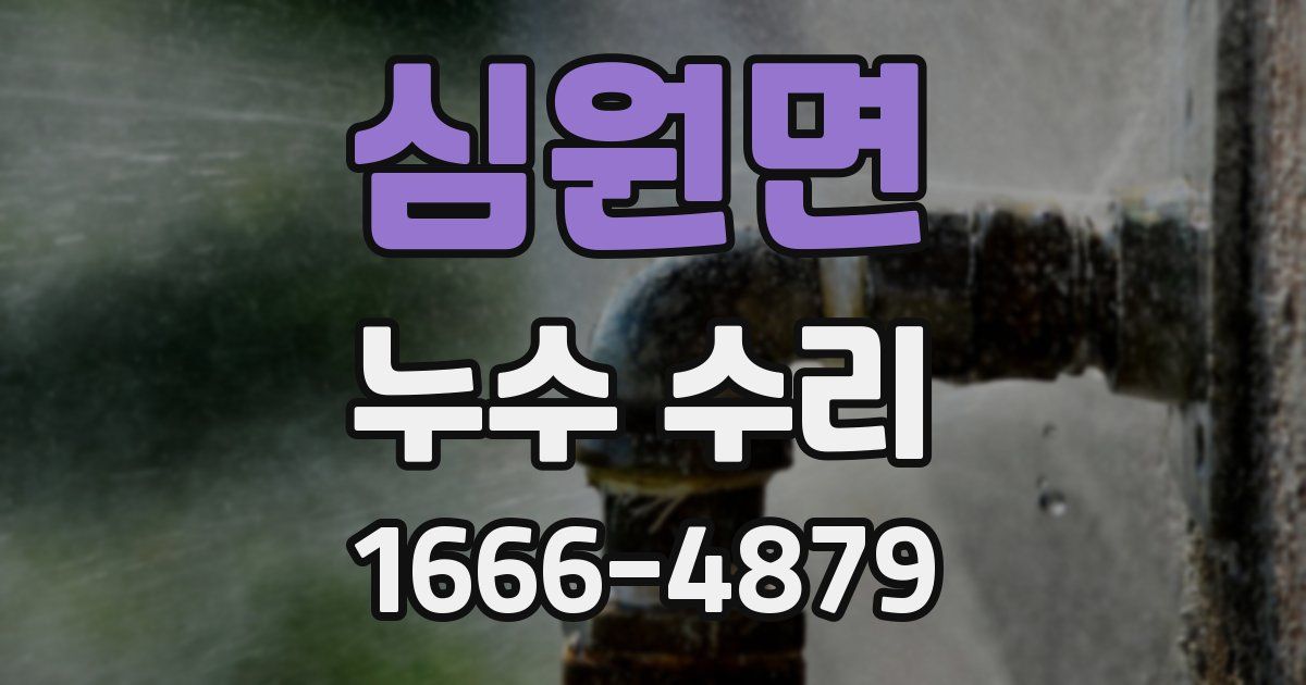 심원면 누수 수리
