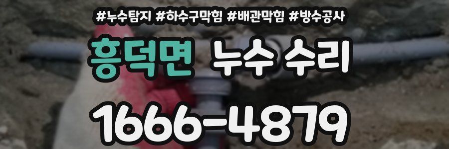 흥덕면 누수 수리