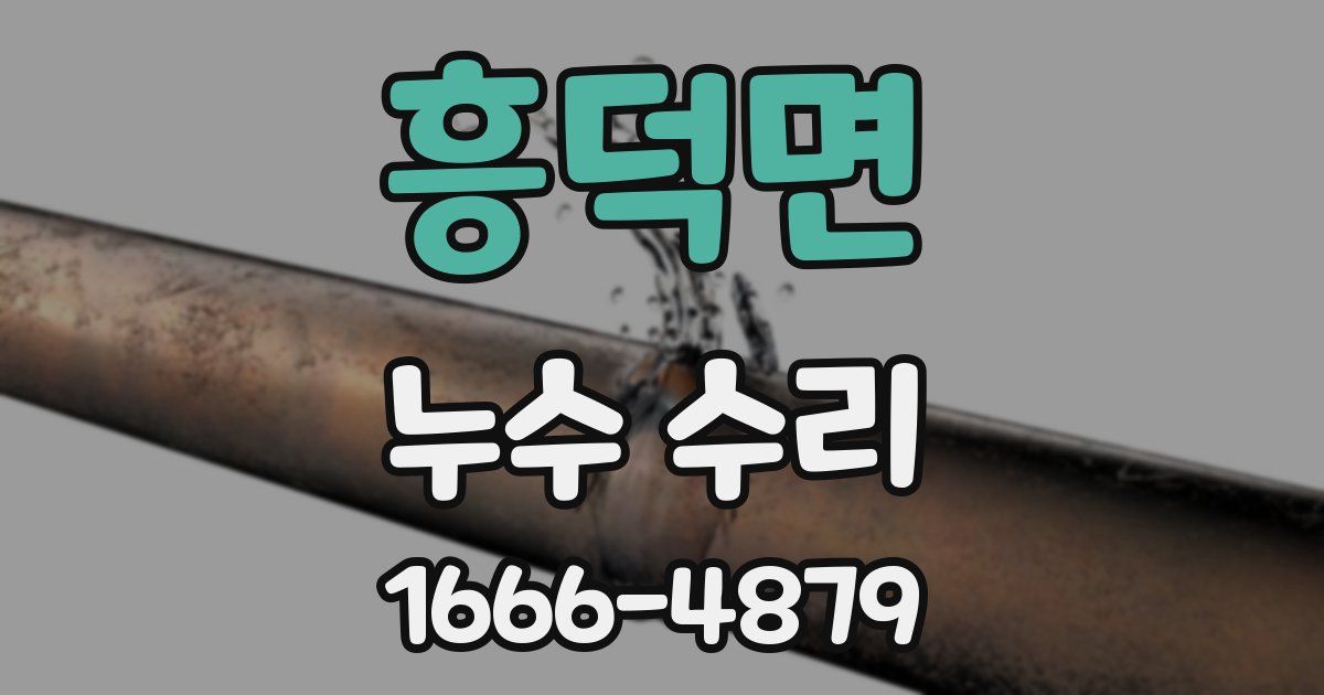 흥덕면 누수 수리