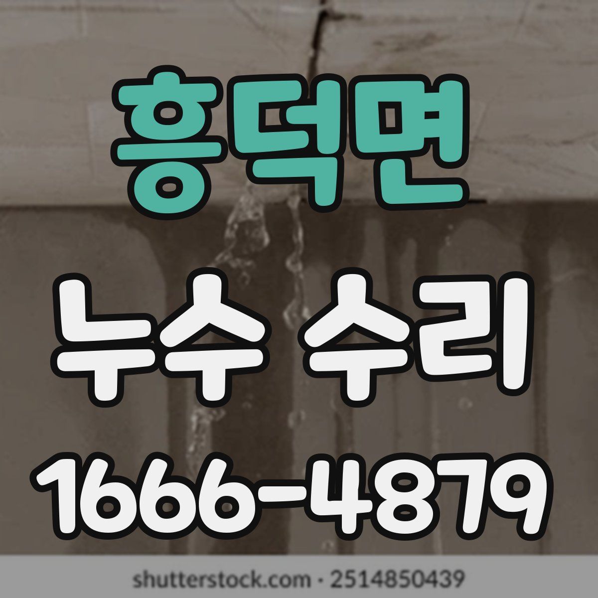 흥덕면 누수 수리