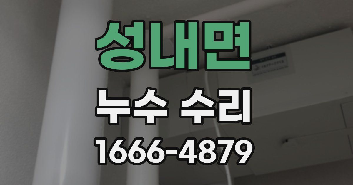 성내면 누수 수리