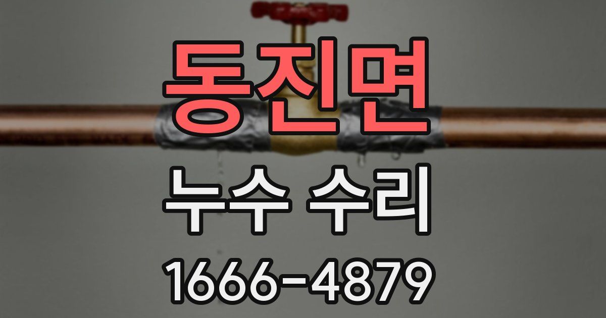 동진면 누수 수리