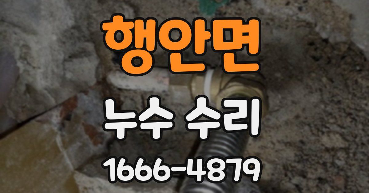 행안면 누수 수리