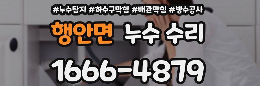 행안면 누수 수리
