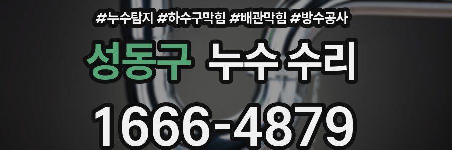 성동구 누수 수리