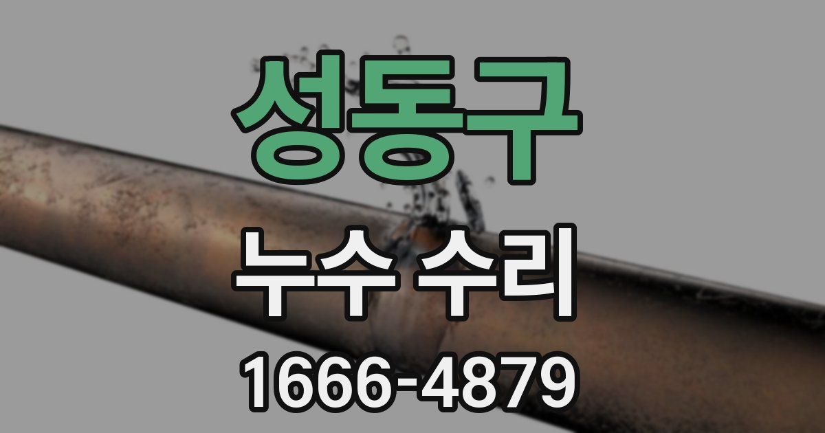 성동구 누수 수리