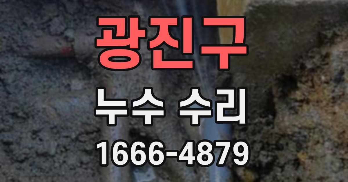 광진구 누수 수리