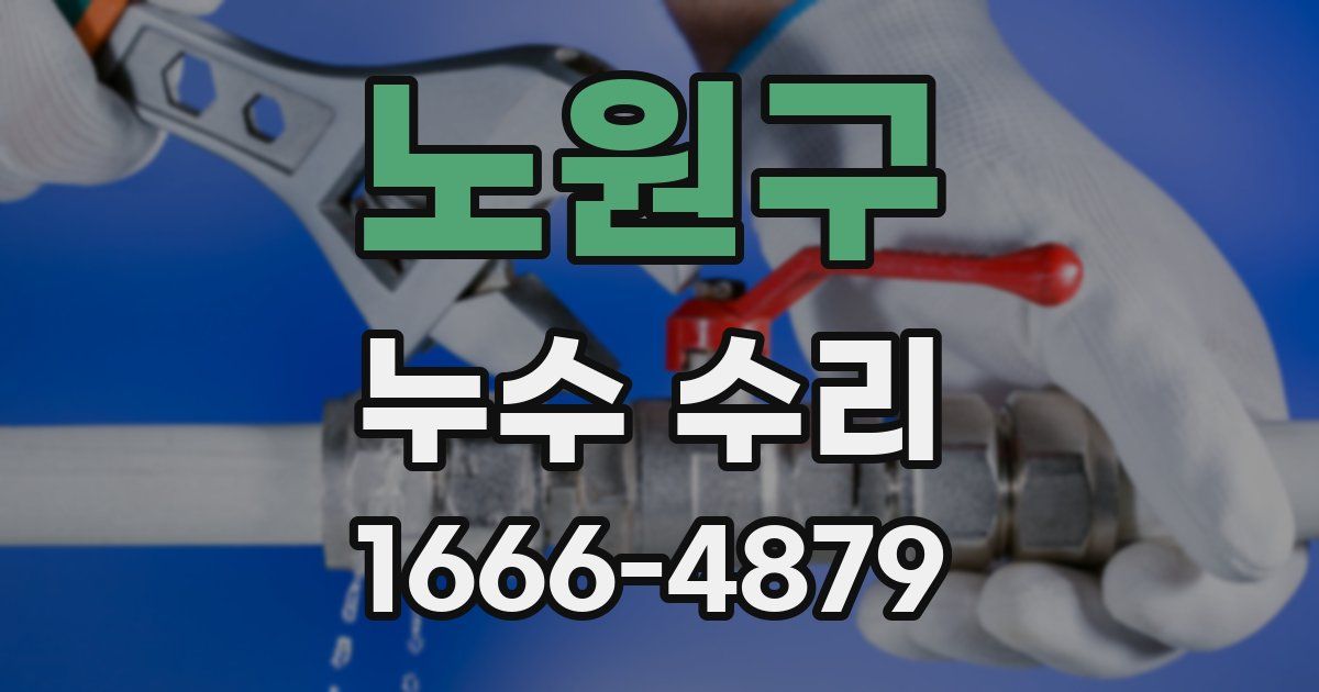 노원구 누수 수리