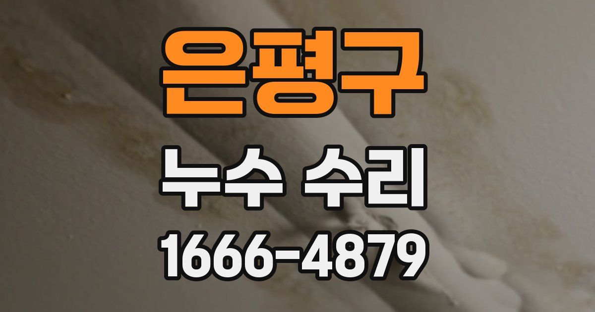 은평구 누수 수리