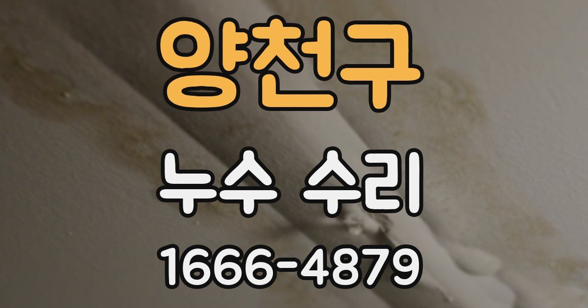 양천구 누수 수리